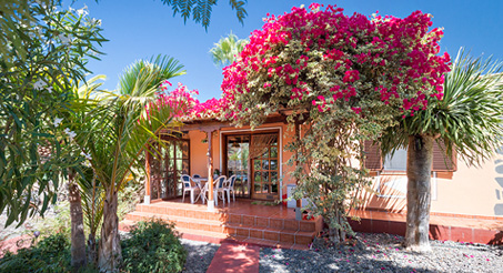 Casa Palmera - Ferienwohnung Westseite La Palma